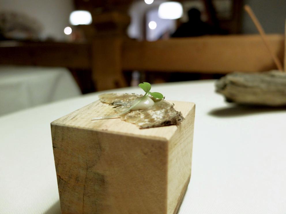 Galleria fotografica






La nostra cena a El Molin, negli scatti di Tanio Liotta. Intanto lo chef Alessandro Gilmozzi...









S'inizia con gli appetizer: Cialda di cioccolato bianco, mandorle, frutti rossi e ostrica









Cialda di pasta, capasanta, aceto, rosmarino e pesca









Crosta di pane cotta al vapore, caviale di salmerino, burro di malga. Gli appetizer sono accompagnati da una tisana dolomitica aromatizzata ai funghi porcini









Zabaione freddo al fieno, patate, cialda al crescione. In accompagnamento, ginger ale & sambuca









Crudité di cervo, pistacchi di Bronte, riccio di mare, olio di cardo









Quattro piatti denominati Miniature Wild. Il primo: Vele di Marzemino con pesto e germogli di pino, servite sulla pigna






