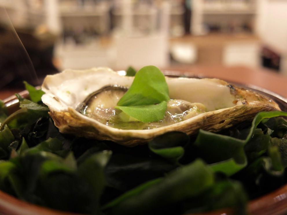 Galleria fotografica



