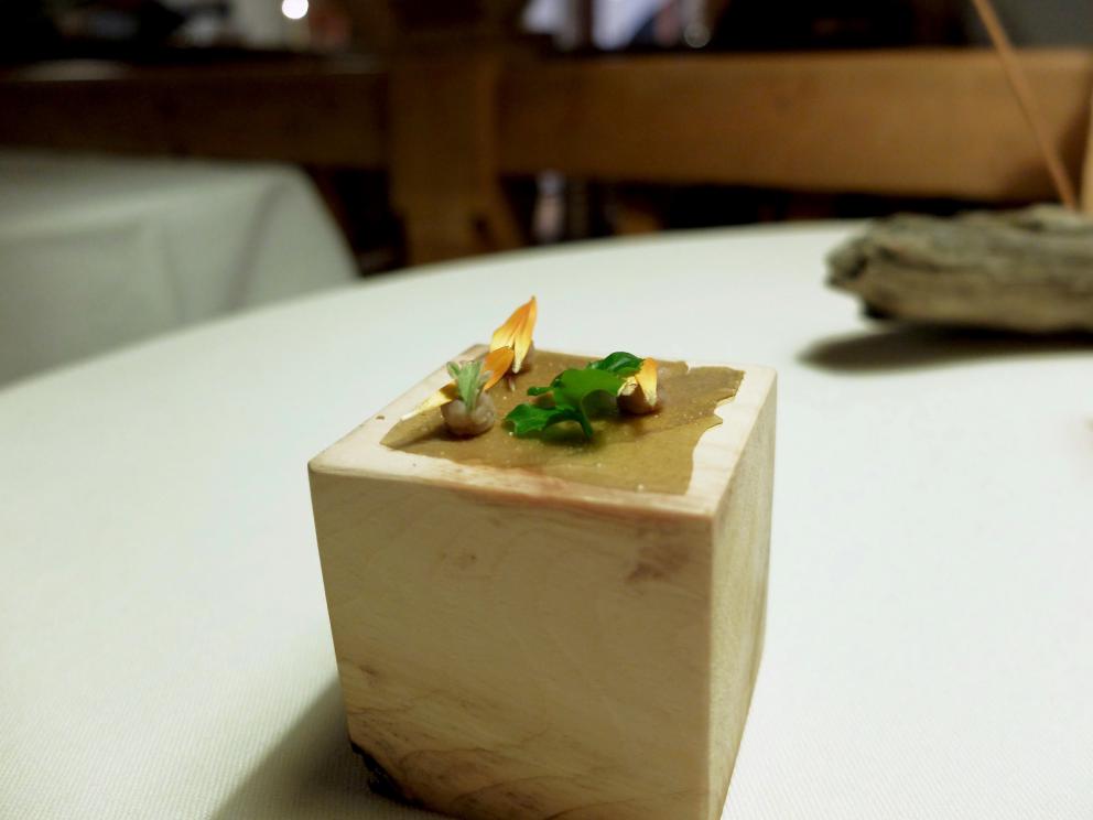 Galleria fotografica






La nostra cena a El Molin, negli scatti di Tanio Liotta. Intanto lo chef Alessandro Gilmozzi...









S'inizia con gli appetizer: Cialda di cioccolato bianco, mandorle, frutti rossi e ostrica









Cialda di pasta, capasanta, aceto, rosmarino e pesca









Crosta di pane cotta al vapore, caviale di salmerino, burro di malga. Gli appetizer sono accompagnati da una tisana dolomitica aromatizzata ai funghi porcini









Zabaione freddo al fieno, patate, cialda al crescione. In accompagnamento, ginger ale & sambuca









Crudité di cervo, pistacchi di Bronte, riccio di mare, olio di cardo









Quattro piatti denominati Miniature Wild. Il primo: Vele di Marzemino con pesto e germogli di pino, servite sulla pigna









Miniature Wild 2: Zigher aromatizzato al lichene e aceto di pino. «Lo Zigher è un formaggio delle Dolomiti. Lo faccio fare da un casaro e poi lo affino con il lichene di pino»






