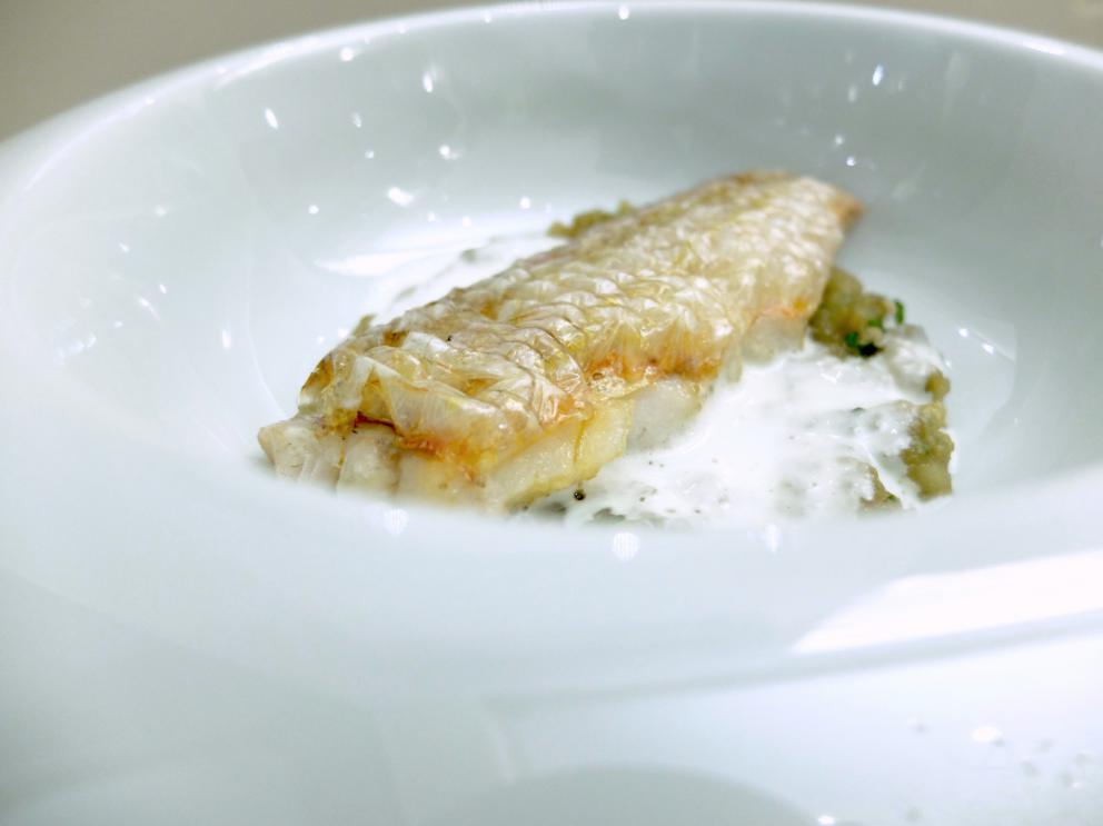 Galleria fotografica






La nostra cena negli scatti di Tanio Liotta. S'inizia con una digressione extra-pugliese, Ostrica al Bloody Mary, brunoise di sedano, olio Muraglia al sedano









Pomodorino di pane raffermo, rucola, sale Maldon e terra di spinacio









Buonissima la Carota fritta, spuma di ricotta forte, pomodoro demi-sec









Carapace di gambero fritto, maionese di capperi. Goloso









Pancia di maiale, jus di vitello, patata al burro. La carne è deliziosa, garantisce Varvara









Un gran piatto: Rotolo di branzino, burrata, lime e olio Muraglia al limone






