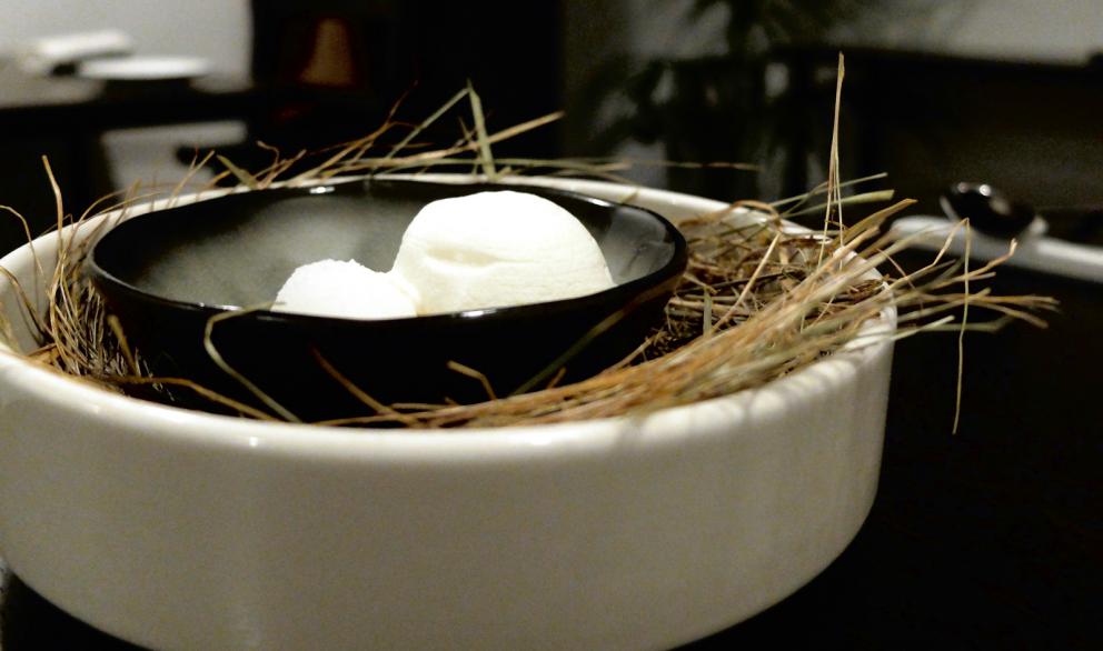 Galleria fotografica






La nostra cena al Materia di Cernobbio (Co). Testi di Carlo Passera, foto di Tanio Liotta. Si inizia con Aceto di petali di rose, brodo di cipolle scottate









Tartelletta allo yogurt, olio all'aneto e cetrioli sottaceto









Cialda di pane, maionese di levistico, mela sottaceto, foglie di cerfoglio









Cialda di avena e birra, barbabietola, polvere di levistico e olio al carbone









Finto midollo di sedano rapa: orzo, rapanello marinato, crema di sedano rapa, olio di prezzemolo e foglie di carota selvatica









Trota salmonata marinata, rafano, kiwi fermentato e brodo freddo di mela: la pelle della trota è bruciata, il brodo è come un dashi, solo che il succo di mela è al posto dell'acqua









Tartare di Fassona, sedano croccante, spuma di sedano, purea di aglio nero, scalogno marinato nella birra, ribes in aceto di lamponi, sambuco in aceto di mele









Insalata di cavolo rosso, midollo affumicato, caviale e latte di mandorla amara: il caviale è Beluga, poi pimpinella e dragoncello 









Lingua di vitello, barbabietola, ribes e shiso









Lumache e nervetti glassati, siero di yogurt e gin, latte di nocciole, olio di finocchietto selvatico









Raviolo di caprino e mostarda, estratto di cavolo nero, succo di pepe di Sarawak









Tortelli di animelle di vitello, tè nero e brodo di pollo allo yuzu









Risotto con elicriso, olivello spinoso e bergamotto









Salmerino, polvere e foglie di castagno, emulsione di erbe, brodo di licheni e aceto di ciliege









Piccione dell'azienda agricola Moncucco: il petto con saba, lattuga bruciata, fiori e salsa di sambuco, polvere e radice di polipodio, una sorta di felce con sentori di liquirizia









Lo stesso piccione: coscette laccate alle spezie






