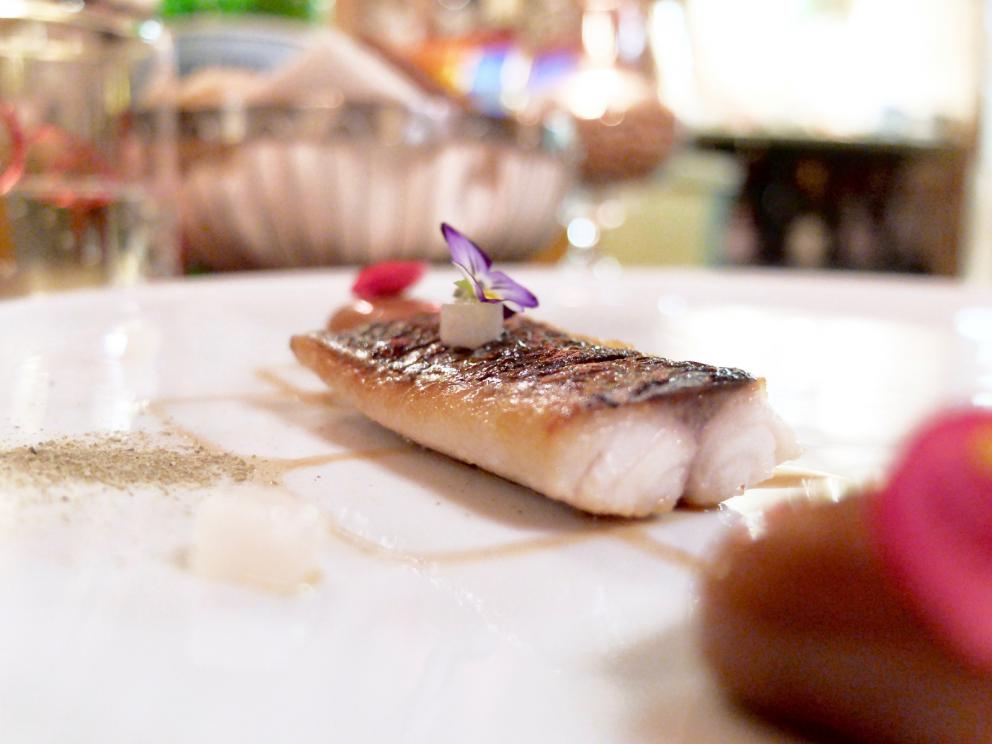 Photogallery






Our dinner at Cum Quibus in San Gimignano, portrayed by Tanio Liotta. We start with Fake green olive, garlic, oil and chilli pepper, olive crumble 









Mezzovo®: egg yolk, soffice di pecorino di Pienza, truffle, a classic by Sparacino. It’s even a trademark...









Pearl of liver with squid ink. Very good and persistent









Pizza liquida: mousse of bread, tomato, anchovies, oregano









Squid, panzanella, Parmigiano, basil, balsamic vinegar. The squid is seared, filled with panzanella, plus tomato jus, drops of balsamic vinegar, a wafer of Parmigiano and both fresh and fried basil









Bufala di capra e tartufo: fake mozzarella made with a mousse of goat cheese






