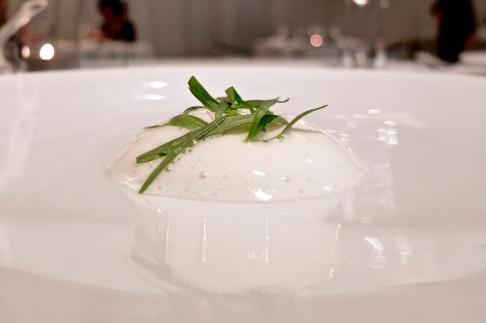 Photogallery






Water, oil, lemon and liquorice: purity. «I use it to clean the palate before the tasting. Water is energy, liquorice is synergic strength, lemon is my emblem, oil [chilled at -40°C] is my homeland»









Italy is also about bread. Taglienti makes it himself, with a 200-year-old mother yeast. On the small plate, at least two delicious types: whole wheat bread, to the right, and schiacciata with herbs and courgette flowers and dehydrated citrus fruits









A dish that, within this new tasting menu, represents something different, that is to say a hint to what the chef has done so far: Bianco e nero di seppia was born in 2009: «The input was a dish of spaghetti with squid ink I had on the beach in Sicily». Under the squid, pressed as if it were pasta, eight types of citrus fruits and panna cotta with sea urchins. Extracts, fonds and jus are increasingly essential in the cuisine of Taglienti. Through them, he channels the essence of flavour: «We always have 12 sauces in the kitchen: fonds of every possible meat, 6 juices from every citrus fruit, plus extracts». The photo shows a previous dinner we had. The author is Tanio Liotta









«I asked myself, why not serve saltimbocca alla romana?». Here it is: raw Piedmontese meat, culatello, butter emulsified with a little flour, thus adding a classic saltimbocca element, then an extract of sage and white wine – the sage is previously micro-fermented close to the stove. «In France cuisine is only about fine dining. In Italy, cuisine comprises everything». Taglienti uses the word vision for this dish









Fat goose liver from Mortara wrapped in steamed cabbage, warm oyster cream and casseoula sauce: the expression of a territory. «This is my idea of casseoula, which we cook in a classic way, and then extract so as to make a sauce». The cabbage recalls caponet or lattuga ripiena alla ligure (served with tocco, a thick meat broth which we’ll mention later too), but has fat liver too. A fantastic dish









Traditional Lasagne Bolognese: (new) avant-garde. A very thin dough, with the ragù simmering for six hours









Frittura di pesce morone al salmoriglio: heritage. «Here’s salmoriglio [not in the photo] an ancient Sicilian and Calabrian seasoning that is more and more forgotten and was one used for chargrilled fish» (olive oil, garlic, oregano, lemon juice, basil, fresh hot green chilli pepper). The batter is made with beer and encloses the fried fish as well as a sauce that is halfway between Provencal anchoiade, with anchovies, and Ligurian tapenade, with olives. Then, also fried in batter, a leaf of basil from the south, «because it’s large, while the basil from Prà in Liguria has small leaves» and then bergamot, Moroccan preserved lemon, olives form Arma di Taggia. Very good









Quintessenza di un tocco genovese: culinary memories. We’ve already mentioned tocco: it’s a sauce based on the very slow cooking of vegetables, tomatoes, mushrooms, bone marrow and then the meat you add so it releases its juices and flavours, and is served separately as a main course. Tocco is a concentrate of aromas that stays in the background. It’s a seasoning, usually, but Taglienti serves it by itself. An elegant blast of flavour









Artichoke cake: evolution. Taglienti adds an idea of tarte tatin to a classic. And a touch of Cynar. A dish halfway between savoury and sweet









Cappuccino of mushrooms with liver pudding: Italian classicism. This sweet is a small masterpiece: liver royale, black cherries, mushroom cappuccino, bay leaves, black pepper and vermouth. Extremely good, complex, and elegant









He also serves the previous dish in a less sweet version, as an entrée. We tasted it during a dinner a few months ago, when we took the following photos, which show the differences with the new road Taglienti has now taken. In this case, Mushrooms and veal liver royale. Tanio Liotta is the author of all the photos









We started with Water, oil, lemon and liquorice, in a slightly different version






