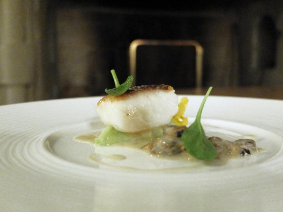 Galleria fotograficaMaurizio D'Andretta nei giardini del castello
Appetizer: Coni ripieni di gelatina di&nbsp;Jam&oacute;n ib&eacute;rico de bellota de Jabugo
Altri stuzzichi: Tartare di scampi e passion fruit, Wafer di parmigiano con baccal&agrave; mantecato, Chips di tapioca e polvere di paprika
Molto buono, anche se un po' scomodo da mangiare, il Calamaro, cime di rapa in doppia consistenza, crema all'aglio
Ricciola, melagrana, mozzarella di bufala e basilico
Anatra, cedro, noci pecan: buoni contrappunti gustativi ma piatto fin troppo minimale, da controllare le temperature
Golosissimo il Carnaroli al nero, gorgonzola, gamberi rossi e pompelmo, signature dish di D'Andretta&nbsp;a Sillavengo. Piatto certo muscoloso ma che trova in s&eacute; un ottimo equilibrio
Cappellaci di baccal&agrave;, patate e mandarino
