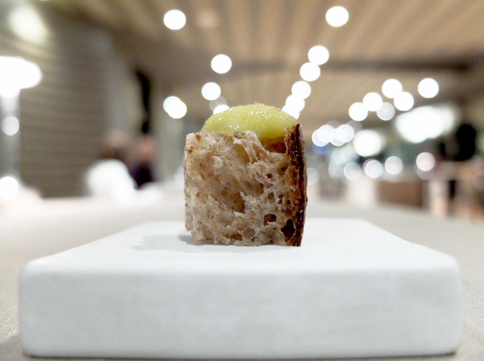 Photogallery






Our journey as portrayed by Tanio Liotta. We start with a long series of entrees, like Sausage from Bra with leeks and cabbage wafer 









Quenelle of scampi, cream of veal brains, catalogna chicory and ginger 









Mousse of parsley and anchovies









Tartufino with hen paté, onions, Porto and powdered mushrooms 









Mozzarellina, tomato and basil









Wafer of Senatore Cappelli wheat, buffalo milk butter and wild fennel









Grissino and salami









Steamed bun, veal tongue and bagnetto rosso






