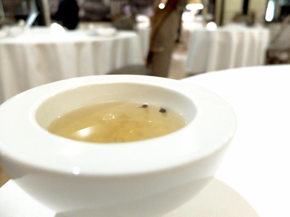 PhotogalleryOur dinner at Paolo Griffa&rsquo;s, in the photos by Tanio Liotta. We start with a long selection of appetisers. In this case, Trout marinated in beetroot juice 
Savoury churros with squid ink
Fried bread and smoked eel 
Cone of goat cheese and olives 
Moscow Mule in a sphere of white chocolate 
Jerusalem artichoke wafers with hazelnut oil, lovely
Spheres of fontina
The delicious homemade bread, with mother yeast, whole-wheat flour and seeds
Shabu shabu with ox leg from Carr&ugrave;, broth with Sansho pepper, rolled tongue in salm&igrave; with bagnetto verde, focaccia with olives.&nbsp;A great dish. Its elements also appear in the three following photos
