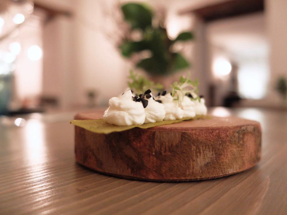 Galleria fotografica



