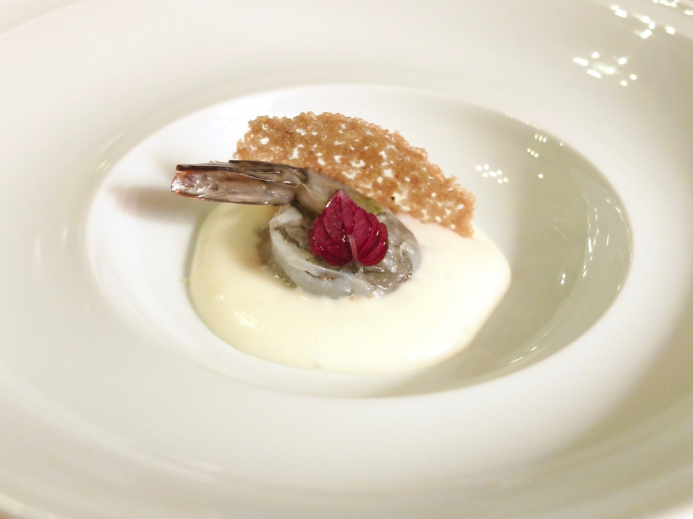 Galleria fotografica



