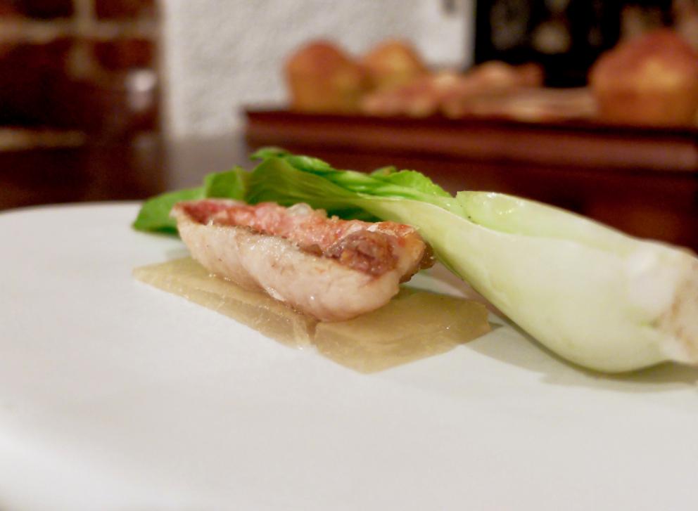 Galleria fotografica






La nostra cena al Pont de Ferr, nelle foto da Tanio Liotta. S'inizia con Messico e Nuvole: zucchero soffiato al peperoncino, salsa guacamole









Pan brioche tostato con acciuga e polvere di bagnet verd









Ciliegia di piccione









Midollo di vacca vecchia, polpa di riccio






