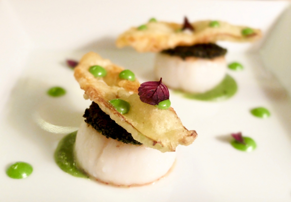 Galleria fotografica






Gambero fresco Eco-Farming, crema di patate e cialda di amaranto









Testina di vitello croccante, crudo di scampi e fegato grasso d'oca affumicato






