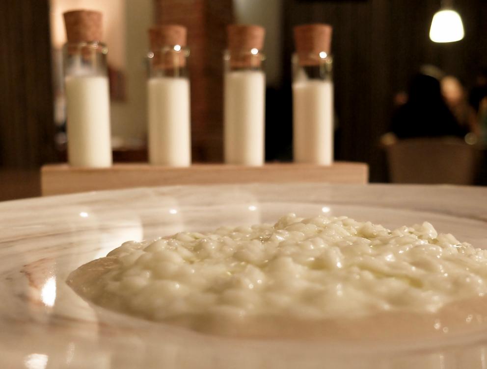 Galleria fotografica






La nostra cena negli scatti di Tanio Liotta. Conosciamo chi produce il pane, è la cooperativa Pausa Cafè, lo impastano i detenuti di una delle due prigioni di Alessandria, quella di San Michele. Ne avevamo parlato qui: Il buon pane dei cattivi. Poi ci sono anche grissini home made e taralli artigianali di Vincenzo Fiore









Bonbon di cinghiale, polvere di barbabietola, ketchup di barbabietola rossa









Buonissimi i Tacos di wafer, guacamole e maionese alla paprika affumicata









Patata pietrificata, maionese di zafferano e i suoi fiori









Finto pomodorino su pane verde all'acciuga









S'inizia il pasto vero e proprio: qui Pescato del Mediterraneo crudo e cotto incontra l'Oriente, ossia gambero rosso di Mazara, ricciola, cipolla rossa di Breme, gel della stessa, peperoncino fresco, riso selvaggio soffiato, latte di cocco, lemon grass, zenzero, acqua di cottura delle cozze. Piatto molto intrigante, spinge su sentori dolci e aromatici/speziati. A parte sono serviti dei calamaretti spillo fritti con paprika affumicata: un po' troppo sale









Uovo bio, carciofo, caviale di trota, Casanova: l'uovo è de La Montagnola, azienda agricola di Riccardo e Gabriele Nicora a Bocco, frazione di Brallo di Pregola (Pv), zona a cavallo tra la bassa valle Staffora e la valle del Trebbia, «da loro mi rifornisco anche di uno splendido zafferano», spiega Sgorbini. È in doppia panatura di pane e panko, poi una fonduta di Casanova (formaggio prodotto dal Caseificio Cavanna sempre in valle Staffora, a pasta molle da latte vaccino intero pastorizzato), un po' dello stesso Casanova a tocchetti, il gambo del carciofo cotto a bassa temperatura e uova di trota. Piatto molto buono, fondente









Deliziosa l'Animella, panna acida al pepe di Timut, daikon e lamponi. L'animella è fritta e poi spolverata di polvere di lamponi, il daikon in infusione di acetosella rossa, poi fondo di cottura di vitello. Perfetto il bilanciamento degli aromi e delle texture: acido/grasso, dolce/piccante, morbido/croccante









Divertente - anche come presentazione - la reinterpretazione di un classico oltrepadano: Ravioli al brasato, cialde di Grana Padano, bieta, jus di vitello






