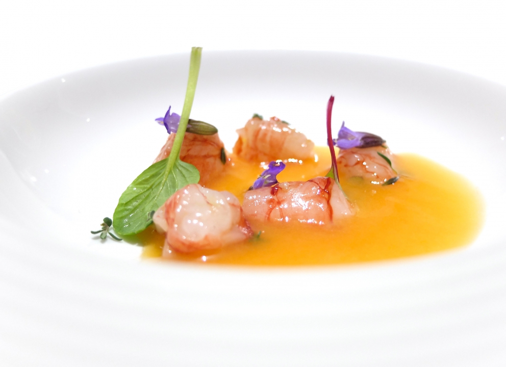 Galleria fotografica






Nella fotogallery di Tanio Liotta, le nostre due cene (risalgono a qualche mese fa, gli ingredienti non sono invernali) al Biafora di Antonio Biafora a San Giovanni in Fiore (Cosenza) e al Qafiz di Nino Rossi a Santa Cristina d'Aspromonte (Reggio Calabria). Iniziamo con Biafora, notevolissima la sua capacità di raccontare il territorio richiamando la tradizione in termini moderni, con variazioni gustative continue e un uso intelligente dei contrasti. Qui Cervella d'agnello impanate con lamponi: si parte subito con coraggio, e il piatto è delizioso









Baccalà («Un pesce da silano»), pellicola di peperone crusco, acciuga, oliva e pelle fritta









«Il panino di mia nonna», con sopra la peperonata









Il pane del Biafora, una delle migliori proposte del 2016, per noi: la tradizionale pitta calabrese, un pane di castagne, che era quello dei poveri, duro, fatto con le castagne tostate, un po' di farina e il latte, e poi quello più classico, ma sempre da lievito madre, 48 ore di maturazione e 10 di lievitazione






