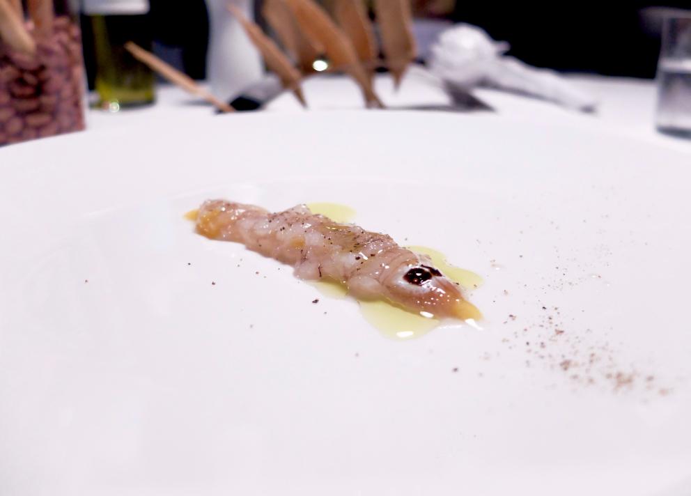 Galleria fotografica






Gran cena al Tarabusino, negli scatti di Tanio Liotta. S'inizia col cestino del pane, di livello: da notare gli squisiti crackers ottenuti con farina Macino, dagli scarti di lavorazione di uva bio









Lo chef fa subito centro col Gelato di mare: gelato di scampi, yogurt con lime, caviale di gò (non è in commercio: viene da un pesce della Laguna veneta) e asparagi selvatici. E' servito su foglie di carciofo bruciate









Altro bel piatto, semplice ed equilibrato: Frittatina di aglio orsino con asparago di Fossalon e alghe essiccate









Acciughe de Le Isolane di Grado, broccoletti, mozzarella di Fossalon, su quadrati di pane Macino 









«Anche nell'Alto Adriatico si trovano ostriche: sono meno belle esteticamente, meno carnose ma regalano un'ottima sapidità». La stessa che si riscontra in questo piatto in cui il mollusco sposa un burro «che facciamo noi col latte di giornata», una granita di cipolla rossa locale di Cavasso, olio sloveno Trasparenza, finocchietto, pepe e aceto Sirk. Godibilissimo, contemporaneo









«I colori hanno un sapore?» si chiede Franzin. Così ha ideato un piatto che, resettando ogni certezza cromatica, affidi il giudizio solo alle papille gustative: Fragole verdi, asparago, uovo, polvere di fibra d'asparago verde e sedano, caviale bianco di orata Friultrota









Cicale di mare, baccelli di pisello, fagiolini e fave: gioco di mineralità









«Le cicale di mare sono difficili da cuocere: tagliandole si rompono facilmente e si perde così la parte estrema, la migliore». Lo chef ci mostra dunque come devono essere trattate: prima vanno ghiacciate, quindi pulite, poi cotte tra due fogli di pellicola da cucina, ma solo per 8 secondi






