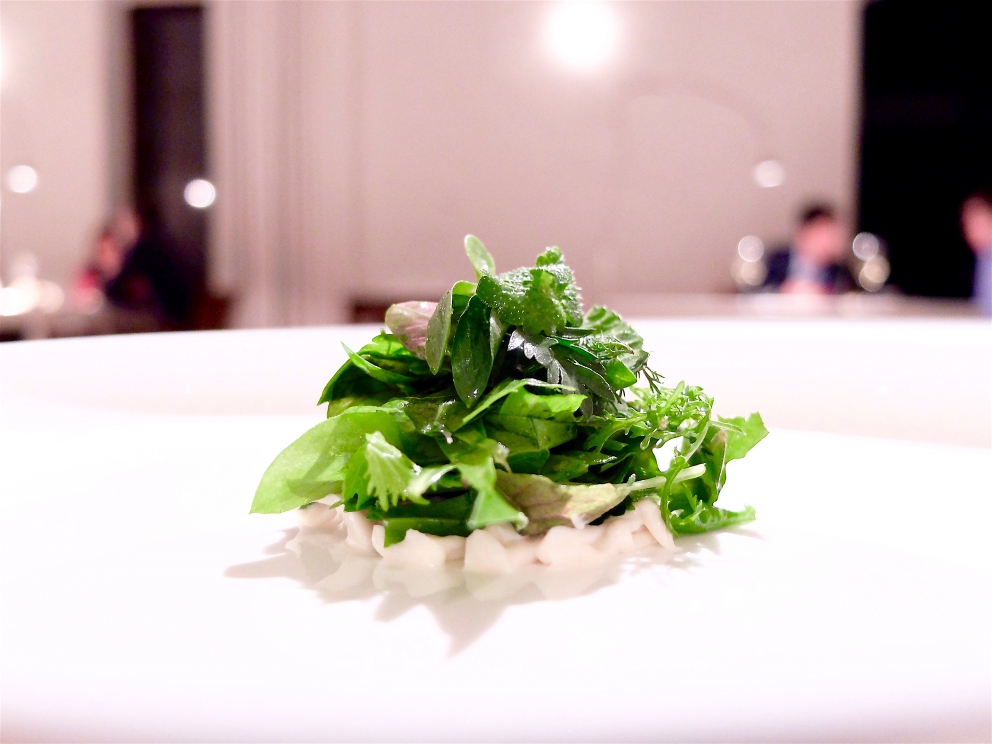 Galleria fotografica






L'eccezionale cena al Reale di Castel di Sangro, regno di Niko Romito, nella fotogallery firmata Tanio Liotta (mentre la foto sopra dello chef è di Brambilla-Serrani) 









Amuse bouche: Soffice di pistacchio salato, Ravanello marinato, Pane e ragù, Pomodoro pelato arrosto glassato al miele, Patata sotto la cenere (Foto Tanio Liotta)









Infuso di bietola






