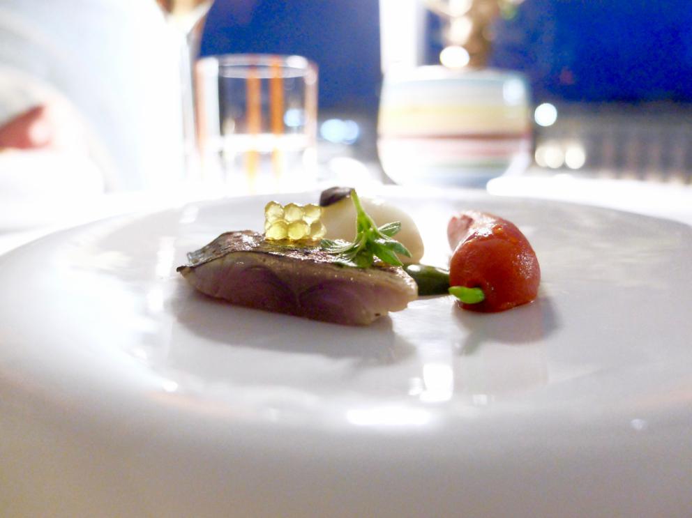 Galleria fotografica