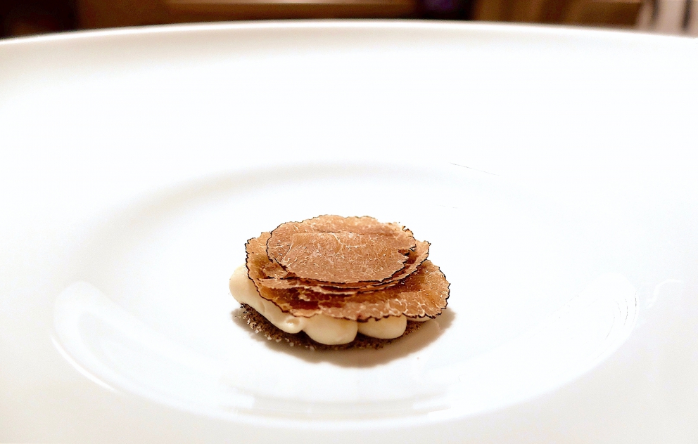 Galleria fotografica






L'eccezionale cena al Reale di Castel di Sangro, regno di Niko Romito, nella fotogallery firmata Tanio Liotta (mentre la foto sopra dello chef è di Brambilla-Serrani) 









Amuse bouche: Soffice di pistacchio salato, Ravanello marinato, Pane e ragù, Pomodoro pelato arrosto glassato al miele, Patata sotto la cenere (Foto Tanio Liotta)









Infuso di bietola









Mandorla e misticanza alcolica









Spigola, capperi e prezzemolo









Calamaro, pepe rosa e lattuga









Cocomero e pomodoro









Pancetta e sedano rapa









Tortelli con pollo, sedano e maggiorana









Animelle, panna, limone e sale









Verza arrosto









Spaghetti e pomodoro









Piccione fondente e pistacchio






