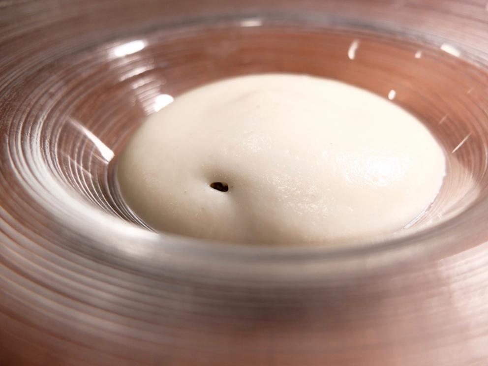 Galleria fotografica






La nostra cena al Dina nelle foto di Tanio Liotta. Il pane pugliese da lievito madre è aromatizzato con acciughe, capperi, olive e scorze di limone. Viene servito con burro alla scorza d'arancia









Un primo brodo, di verdure. «Adoro i brodi, richiamano la casa. Ne propongo uno accogliente all'inizio e uno profondo alla fine». Non chiarificato, con forte nota caramellata









Da dentro al sacchetto: casoncello crudo, ma cotto: lo si è assaggiato anche a Identità Milano 2018









Lo chef lo racconta così: «Avete mai mangiato la pasta ripiena cruda? Io ne ho mangiata una quantità sconsigliabile a chiunque. Quando ero a Modena, all'Osteria Francescana, un giorno ho mangiato due tortellini crudi e ho pensato: mamma mia, ma quanto sono buoni?! Sarebbe davvero bello renderli crudi, ma cotti: percezione palatale del crudo, ma assolutamente cotto. Ci ho lavorato, ci sono riuscito e così è nato il mio Casoncello crudo, ma cotto. Se Massimo Bottura un giorno verrà da Dina, solo per lui, ci sarà un tortellino crudo, ma cotto. Immagino di mandarlo sotto al tavolo facendo cadere una finta farina dall’alto e, come da bambino, se vorrà, potrà rubare il suo tortellino crudo, ma cotto “da sotto al tavolo”. Io rubavo i casoncelli dal sacchetto, quindi da Dina ognuno può giocare con la memoria attraverso questo piatto»









Tutto ci passa attraverso e ci cambia. Lo chef ama i prodotti-filtro, «capesante, cozze, eccetera». Qui crema di cozze, crema di pomodori confit piccante, aria di limone, erbe aromatiche, pane croccante e tartare di fungo. «L'uomo è un filtro (come la cozza): tutto ciò che incontra lascia in lui dei segni. L'uomo è anche un parassita (come il fungo): si lega a ciò che lo attrae». Il piatto è servito in un "bidoncino del pattume"









Agretti come spaghetti, piatto buonissimo. Lo chef fa annusare un'estrazione di radice di agretti (la terra) e una di tarassaco (un campo dopo la pioggia). Quindi si mangia il piatto, che prevede anche crema di noci, lime, timo, ravanello, prezzemolo e olio al fieno greco. Gli agretti sono cotti nella loro estrazione









Carciofo o ostrica. Piatto ispirato a Pippo Feroci dell'Osteria Francescana, «lui è come un'ostrica o un carciofo, ci vuole un po' di tempo per arrivare al cuore». Il carciofo cotto alla romana è condito con maionese d'ostrica e foie gras









Non mi era proprio mai piaciuta, «perché a me la pasta pomodoro e basilico non piaceva». Lo chef mette sottovuoto degli spaghetti con dell'acqua di pomodoro; gli acidi di quest'ultima estraggono gli amidi, formando una sorta di gel. La parte di pasta rimasta, sfibrata, viene frullata col basilico e un poco di questo gel, quindi è usata per condire gli spaghetti veri e propri e per ottenere la pallina di gelato. La cialda è invece una meringa ottenuta dal solito gel









Aglio, Olio e 58, «pasta golosa» inventata per la Franceschetta 58 di Modena (da qui il nome), ma là mai servita. Prevede crema di prezzemolo, patata, scalogno, aglio, timo, peperoncino e ostriche









Ne mangerei un bidet!, il copyright del nome è di Davide Di Fabio, sous di Bottura. Questa volta i casoncelli sono proprio cotti, conditi poi con crema di Grana Padano 43 mesi riserva della Latteria Sant'Angelo di Campitello (Mn)









Ma quante ne sanno! Bottoni ripieni di polpo alla luciana e beurre blanc









L’agnello nella bocca del lupo. La carne di agnello, sfilacciata, è marinata nella Melittis melissophyllum, ossia la bocca di lupo, parente strettissima della melissa. Poi spinaci, radici amare di soncino, crema di patate arrosto, polvere di erbe e fondo d'agnello









A parte, un altro brodo, ottenuto da funghi e melissa. Favoloso. «Prendo 6 casse di funghi e le metto sul fuoco basso per 7 o 8 ore, senz'acqua, aggiungo una mazzetta di melissa e filtro»









Mi rode il fegato. Lo chef sta studiando piatti dedicati ai 7 vizi capitali, questo rappresenta l'ira. È un fegato di fassona Cazzamali appena scottato, noce tostata, riduzione di mele alla curcuma, salsa bordolese, cipolla croccante fritta









Predessert: Gelato al limone, olio extravergine e menta. L'olio è quello, abruzzese, di Marina Palusci









Risotto? Ma non doveva essere pane, burro e marmellata? Il riso è condito con riduzione di arancia, pinoli ed estrazione di rosmarino. Una bomba









Come una volta, ispirato a Christo. «È la mia versione della teglia di tiramisù, ma meno dolce, meno calorica. Richiede una gran lavorazione. Devo dire grazie ai consigli di Annalisa Borella, pastry chef del Villa Feltrinelli»






