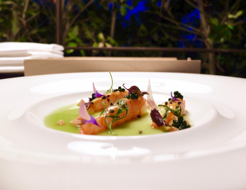 Galleria fotografica






Bella cena al Villa Pignano di Borgo Pignano, negli scatti di Tanio Liotta. S'inizia con Camouflage di melanzana alla parmigiana e burrata, con crema di pane, di pomodoro candito e di basilico









Chips di calamaro croccante, carpaccio di muggine affumicato, yogurt di capra









Un'insalata con le verdure dell'orto cotte, crude e disidratate, e formaggio fresco di capra. Molto piacevole






