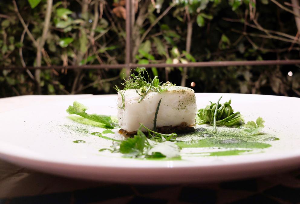 Galleria fotografica






Bella cena al Villa Pignano di Borgo Pignano, negli scatti di Tanio Liotta. S'inizia con Camouflage di melanzana alla parmigiana e burrata, con crema di pane, di pomodoro candito e di basilico









Chips di calamaro croccante, carpaccio di muggine affumicato, yogurt di capra









Un'insalata con le verdure dell'orto cotte, crude e disidratate, e formaggio fresco di capra. Molto piacevole









Gambero alla panzanella, estratto di cetriolo e zenzero, crema di pane e pomodoro, cipolla sbianchita, caviale di basilico, erbe









Esperimento da rivedere, questa lasagnetta al polpo









Cannellone al Guttus, lamponi e olive, con cioccolato bianco









Ottimo il Risotto Carnaroli di Maremma con parmigiano, gocce di extravergine al limone, estratto di barbabietola e ribes, con primo sale home made, purea di pesca e 10 erbe e fiori aromatici






