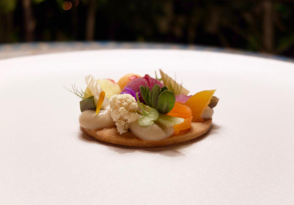 Galleria fotografica






Bella cena al Villa Pignano di Borgo Pignano, negli scatti di Tanio Liotta. S'inizia con Camouflage di melanzana alla parmigiana e burrata, con crema di pane, di pomodoro candito e di basilico









Chips di calamaro croccante, carpaccio di muggine affumicato, yogurt di capra









Un'insalata con le verdure dell'orto cotte, crude e disidratate, e formaggio fresco di capra. Molto piacevole









Gambero alla panzanella, estratto di cetriolo e zenzero, crema di pane e pomodoro, cipolla sbianchita, caviale di basilico, erbe









Esperimento da rivedere, questa lasagnetta al polpo









Cannellone al Guttus, lamponi e olive, con cioccolato bianco









Ottimo il Risotto Carnaroli di Maremma con parmigiano, gocce di extravergine al limone, estratto di barbabietola e ribes, con primo sale home made, purea di pesca e 10 erbe e fiori aromatici









Morone al verde









Il piccione









Pan di Spagna, succo e scorza di limone, piselli freschi dolcificati e sorbetto di basilico






