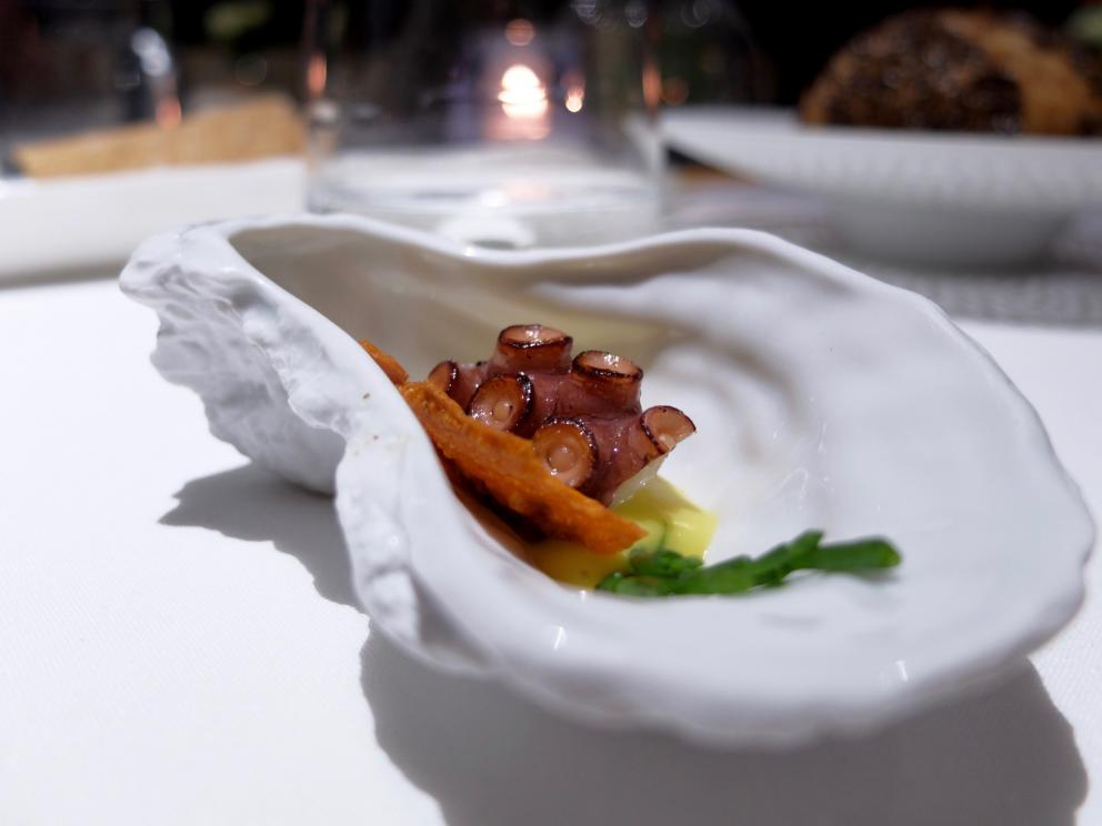 Galleria fotografica






La cena da Arnolfo negli scatti di Tanio Liotta. S’inizia con gli appetizer: Tartare di Chianina di Simone Fracassi (leggi anche: La crociata di Fracassi, re della Chianina), maionese vegana alle olive e olio in polvere









Fiore di zucca ripieno di ricotta, pomodoro candito









Biscotto ripieno di guancia di dentice con sesamo e spuma di peperone giallo









Buonissimo l’Uovo di quaglia in camicia, miglio croccante, maionese di barbabietola







