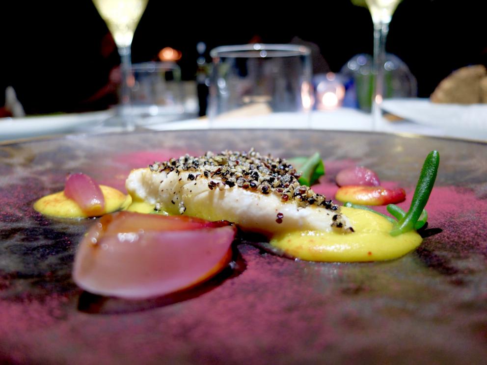 Galleria fotografica






La cena da Arnolfo negli scatti di Tanio Liotta. S’inizia con gli appetizer: Tartare di Chianina di Simone Fracassi (leggi anche: La crociata di Fracassi, re della Chianina), maionese vegana alle olive e olio in polvere









Fiore di zucca ripieno di ricotta, pomodoro candito









Biscotto ripieno di guancia di dentice con sesamo e spuma di peperone giallo









Buonissimo l’Uovo di quaglia in camicia, miglio croccante, maionese di barbabietola









Polpo arrosto, salsa di mango, salicornia, cialda di crostacei









Trovato da due anni ha eliminato dalla propria cucina le materie prime importante, celebra volentieri i grandi prodotti della Toscana. Nascono così piatti come il Pollo del Valdarno (di Laura Peri), pomodori secchi, patate novelle, tartufo









Storione bianco, capperi di Pantelleria, basilico






