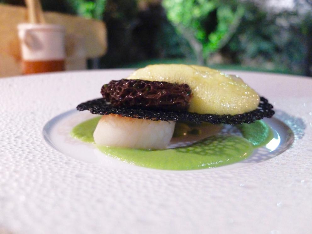Galleria fotografica






La nostra cena al Pietramare negli scatti di Tanio Liotta. Qui gli appetizer: il finto pomodoro (che nasconde una succulenta tartare di alalunga), il crostino con sardella, 'nduja e cipolla rossa di Tropea, il pane fritto con cupola di ragù di polpo, l'altro crostino con crema di patate ai capperi e astice. S'inizia benissimo...









La Parmigiana di melanzane









Foie gras, succo di mela e pan brioche: piatto non bellissimo, ma buonissimo. La finta mela di foie gras è rivestita di clorofilla, poi gamberi rossi di Capo Rizzuto, polvere di crostacei, sidro di mele ridotto









Sgombro marinato agli agrumi, laccato con miele e aceto, spuma di pinoli e verdure fresche di campo. Alta classe









Dei tagliolini abbiamo già detto...









...e anche degli spaghettoni. «Un giorno vado al porto e un pescatore mi porta una triglia del golfo di Squillace. Fantastica, tutti la cucinano intera, io ne faccio un ragù crudo»






