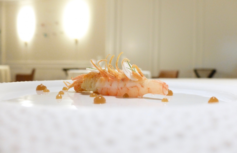 Galleria fotografica






Cannolo di erbe fritto con cavolo nero, sopra una gelatina di carpione (fotogallery di Tanio Liotta)









Melanzana moderna, cotta al forno intera, poi ricomposta. Con foglia di tetragona









Caramella di cipolla, mango e fegato grasso. La cipolla viene seccata per ricavarne un velo, poi messa sulla teglia e completata col ripieno. «E' la tecnica dei brigidini», racconta Bartolini, scusate la rima. Tipici di Lamporecchio, lui è di Larciano, 6 km scarsi di distanza









Patata soffice, uovo e uova









Okra fritta con calamaretto e shiso verde






