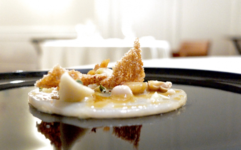 Galleria fotografica






Cannolo di erbe fritto con cavolo nero, sopra una gelatina di carpione (fotogallery di Tanio Liotta)









Melanzana moderna, cotta al forno intera, poi ricomposta. Con foglia di tetragona









Caramella di cipolla, mango e fegato grasso. La cipolla viene seccata per ricavarne un velo, poi messa sulla teglia e completata col ripieno. «E' la tecnica dei brigidini», racconta Bartolini, scusate la rima. Tipici di Lamporecchio, lui è di Larciano, 6 km scarsi di distanza









Patata soffice, uovo e uova









Okra fritta con calamaretto e shiso verde









Gamberi di Santa Margherita in due passaggi...









...con Illusione di mandorle siciliane









Ventresca di tonno e dintorni...









...con Calamaretti in brodo, mela verde e salicornia






