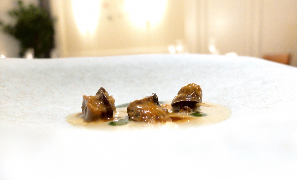 Galleria fotografica






Cannolo di erbe fritto con cavolo nero, sopra una gelatina di carpione (fotogallery di Tanio Liotta)









Melanzana moderna, cotta al forno intera, poi ricomposta. Con foglia di tetragona









Caramella di cipolla, mango e fegato grasso. La cipolla viene seccata per ricavarne un velo, poi messa sulla teglia e completata col ripieno. «E' la tecnica dei brigidini», racconta Bartolini, scusate la rima. Tipici di Lamporecchio, lui è di Larciano, 6 km scarsi di distanza









Patata soffice, uovo e uova









Okra fritta con calamaretto e shiso verde









Gamberi di Santa Margherita in due passaggi...









...con Illusione di mandorle siciliane









Ventresca di tonno e dintorni...









...con Calamaretti in brodo, mela verde e salicornia









Carpaccio di capesante, nocciole piemontesi, topinambur e limone arrostito






