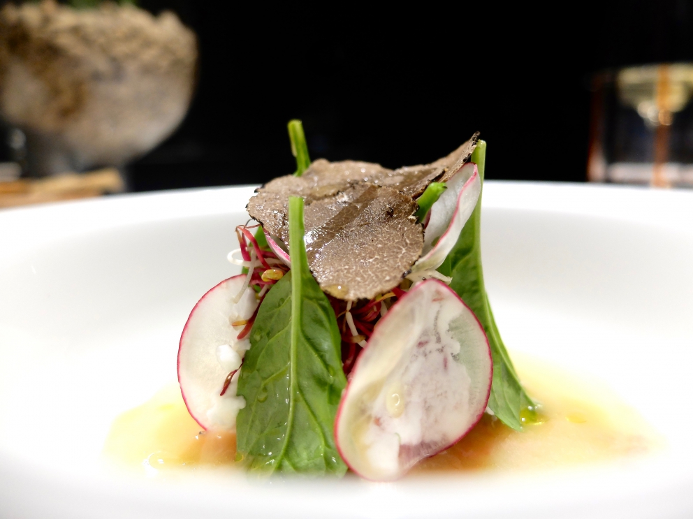 Galleria fotografica






Il celebre Rossini di Fasolato: fragole, spuma di prosecco e gambero in tempura. La fotogallery è firmata Tanio Liotta









Mojito di scampi, cetriolo, gel di gin Hendrick's e spruzzata dello stesso gin









Ossobuco di calamaro, salsa gremolada, rösti di patate, gelato di risotto allo zafferano









Piatto-favola: Hamburger di capesanta e fegato grasso, krapfen di patate, cavolfiore






