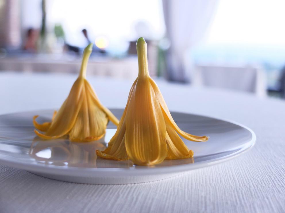 Photogallery






Mammoliti with patron Ventura and the staff: 12 people. Portuguese Pedro Demetrio is the sommelier. Photos by Tanio Liotta









We start with the appetizers: Tuile with squid ink and tuna mousse  






