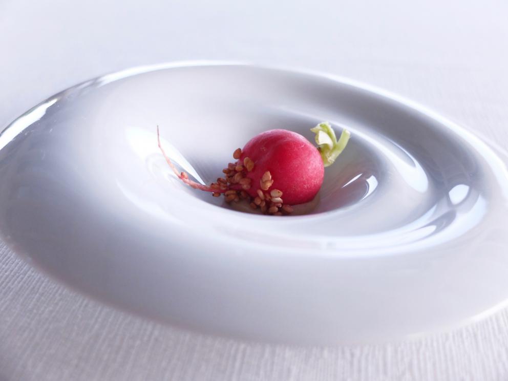 Photogallery






Mammoliti with patron Ventura and the staff: 12 people. Portuguese Pedro Demetrio is the sommelier. Photos by Tanio Liotta









We start with the appetizers: Tuile with squid ink and tuna mousse  









Beef steak flower (Heliconia mariae) and sweet peach 









Tube of bechamelle and jowl bacon 









Goat cheese éclair 






