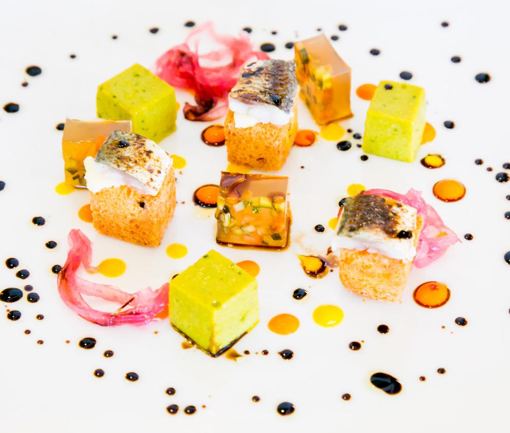 Galleria fotografica