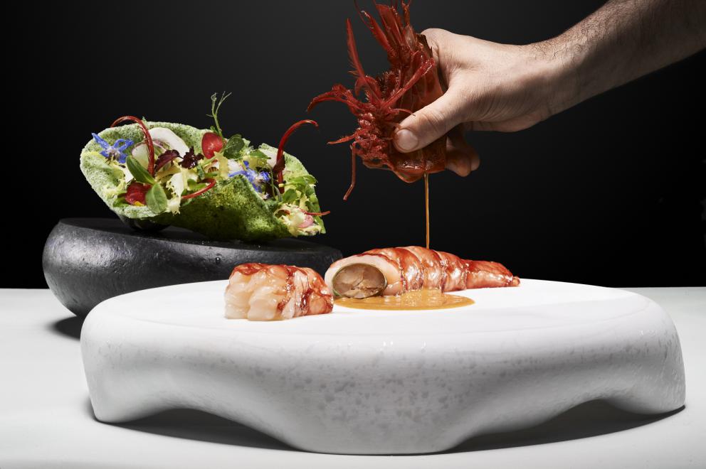 Galleria fotografica






Filetto di cinghiale con fave, pecorino e mele caramellate al vino rosso
Manuel Bentivoglio – chef dell’Agriturismo Roccamaia a Pievebovigliana (Macerata) 









Pancia di Capretto, Cicala di mare "gonfiata" al Bergamotto, Cilantro, Lampascione e Mosto Cotto di Fichi
Vincenzo Dinatale – sous chef al Ristorante Il Pellicano dell’Hotel Il Pellicano a Porto Ercole (Grosseto) 









Sud Europa - Carrè di agnello farcito con ventresca di tonno rosso sott'olio e cedro calabrese candito
Carmelo Fiore – sous chef presso Il Luogo di Aimo e Nadia a Milano 






