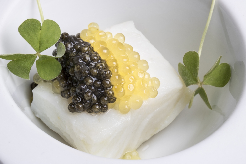 Galleria fotografica






Una foto d'epoca dell'antica bottega di Nuta a Ferrara









Caviale crudo e Caviale cotto di Cristina Maresi









Altri antipasti della Maresi: Crostino di storione affumicato, Crostino di patè di fegato di storione, Storione in saor






