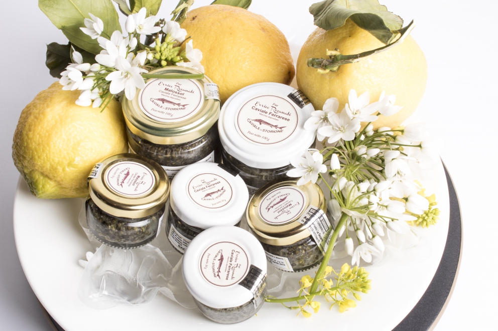 Galleria fotografica






Una foto d'epoca dell'antica bottega di Nuta a Ferrara









Caviale crudo e Caviale cotto di Cristina Maresi









Altri antipasti della Maresi: Crostino di storione affumicato, Crostino di patè di fegato di storione, Storione in saor









Abc, ossia aringa, baccalà e caviale, il primo piatto di Recanati









Spaghetto di Carla Latini, limone, panna acida e caviale ferrarese









Cipolle sotto la cenere, pronte a sposarsi con lo storione cotto ai carboni









Lo storione cotto ai carboni...









...prima dell'impiattamento finale: Storione cotto ai carboni, cipolla bruciata e ostriche









Il libro di Michele Marziani, Il Caviale del Po









Recanati coi produttori coinvolti per la serata






