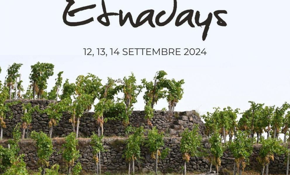 I vini dell'Etna superano la crisi: i dati di un successo. Ma non bisogna fermarsi