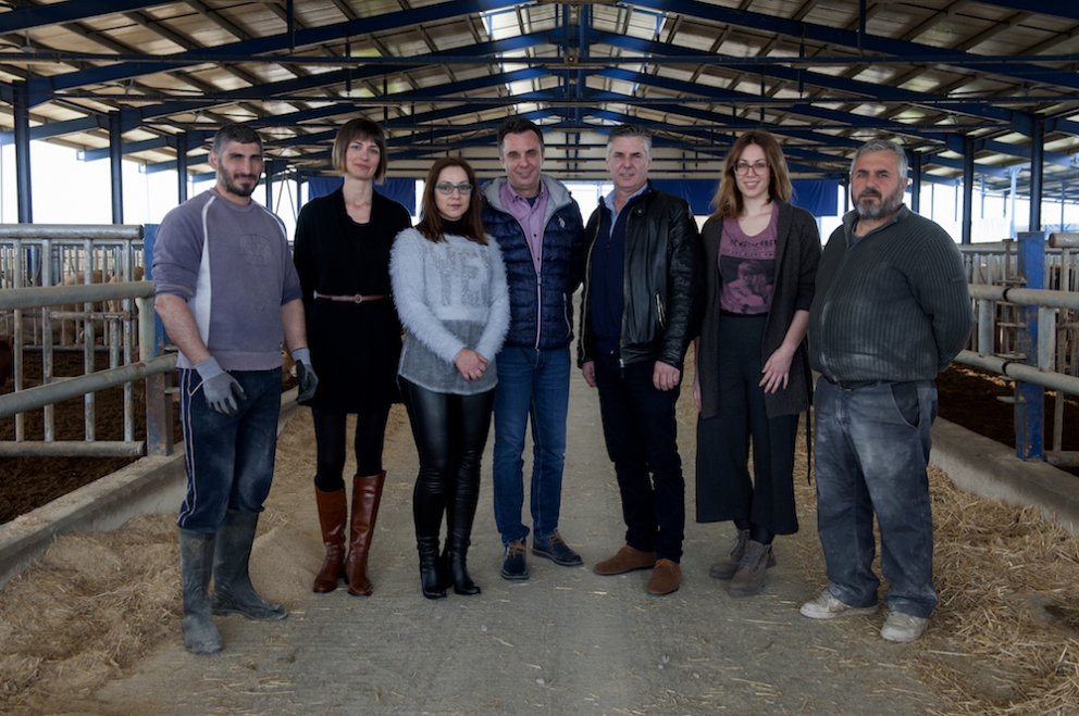 Photogallery






The best olives? Damaskinoelies by Michalis Ainatzoglou. They are as large as plums and come from an ancient variety cultivated in the region of Argo, in the Peloponnesus. Ainatzoglou owns secular olive trees in Kiveri. He leaves the gigantic olives to ripen in salt, following a traditional method; he then rinses them and pasteurises them. Thanks to this process they’re preserved without chemicals. Tel: +30.6977.500810














The Best Olive Oil Award went to Governor, produced in Corfu. The olive groves on the island are renown for their beauty, yet the oil made from them was not good enough and was sold unbottled to overseas buyers. Two young men,Spiros and George Dafnis, have managed to produce an absolutely excellent oil. Tel: +30.266.1075701














The award for the best shop selling delicious food went to Agora, mezedopantopoleio in Thessaloniki, one thousand square metres of lovely food. As they say in the motivation "it really has nothing to envy to the famous Eataly in Milan".Agora was created by Thomas and Giorgos Douzis. It’s in 42 Pavlou Mela St., Thessaloniki. Tel: +30.23.10288008














The Best Greek Honey in 2016 is Amorgiano, a sweet delicacy from the Cyclades. Panagiotis Maroulis – a tv director who changed life – produces it on the island of Amorgos. He has beehives in four places on the island: Lagada, where sage and flowers dominate; Halara, a cliff home to a local bee, with a different genetic profile, making honey with scents of salt and thyme; the islet of Nikouria, again with aroma of thyme; and, a little further, the small island of Donousa, where there’s heather. Tel: +30.228.5073048














The Best Farm Award goes to Agios Loukas, an agricultural cooperative from Raki, thanks to its high quality cherry production on Mount Olympus. 90% of the production is exported. Tel: +30.235.1098711














The best meat in Greece is Aroma by Koutsioftis Farms, owned by brothers Stergios and Dimitris Koutsioftis. Third generation of breeders, they made the first 100% Greek calves, fed with special patented forage (mostly Greek aromatic herbs: mint, basil, oregano, coriander and some other herbs which are kept secret, hence the name "Aroma" for the meat). The meat is rich in omega-3, as the calves eat linseeds too. Tel: +30.233.1071803






