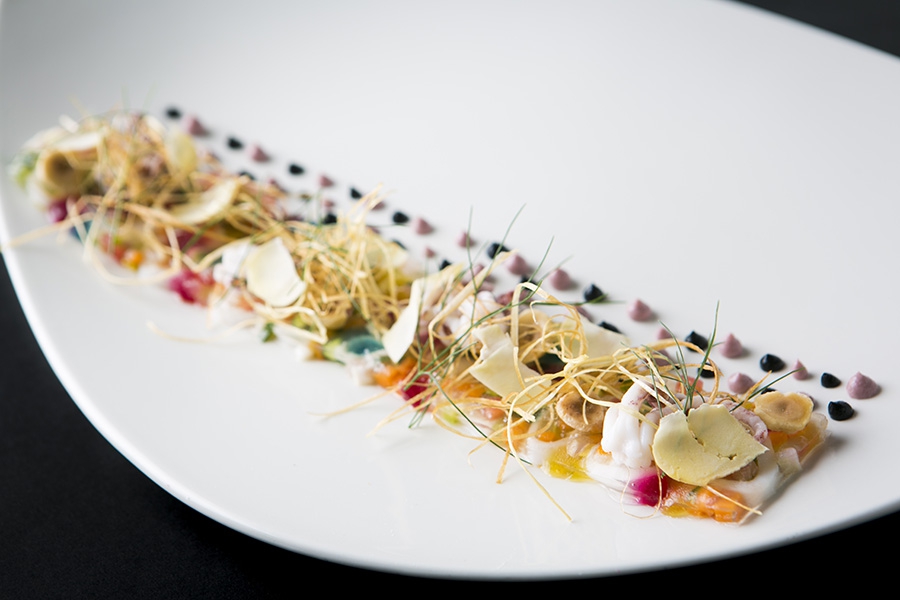 Galleria fotografica