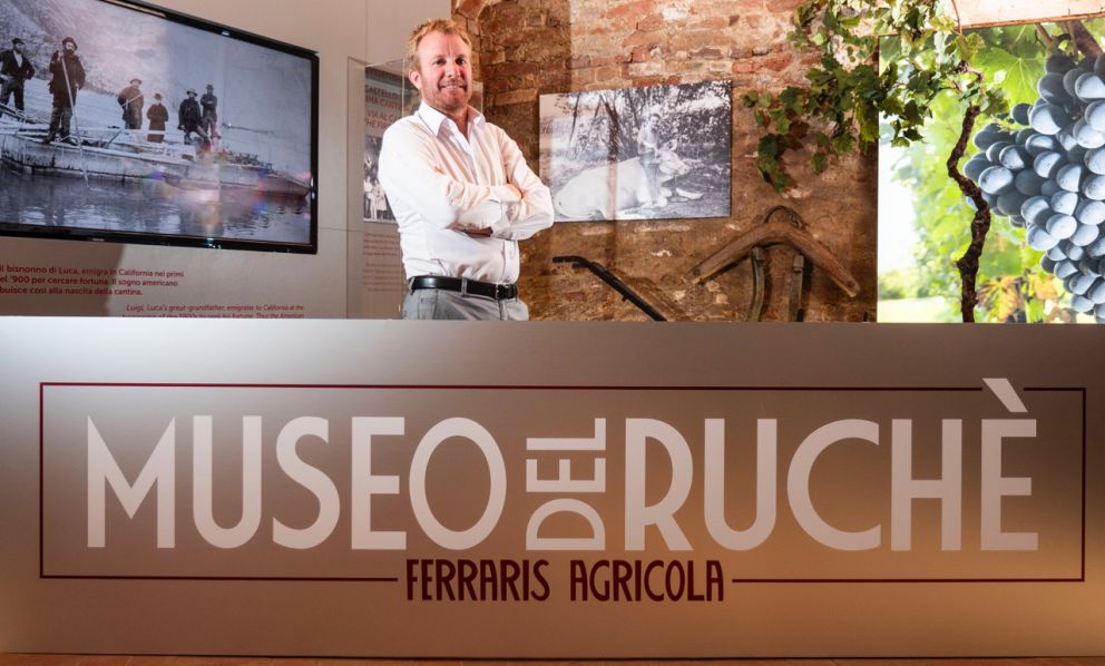 Ferraris Agricola e il rilancio del Ruchè: da vitigno quasi dimenticato a denominazione DOCG con mercato globale