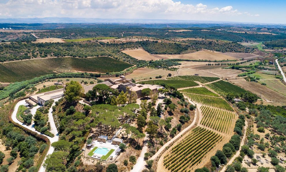 Feudi del Pisciotto, impronta toscana ma cuore siciliano