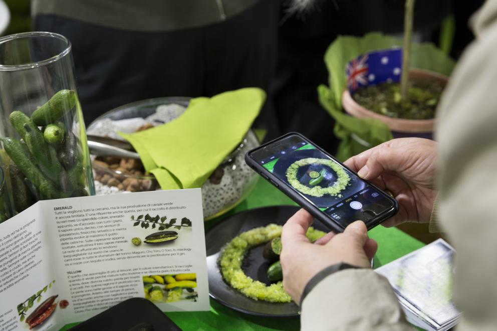 Galleria fotografica






Acetaia Giusti - Il Gran Deposito Aceto Balsamico di Giuseppe Giusti, la più antica azienda produttrice di Aceto Balsamico di Modena fondata nel 1605, ha portato al congresso l’intera Collezione Storica Giusti, una selezione di pregiati aceti balsamici invecchiati fino a 100 anni, assieme a un panettone all’aceto balsamico creato per Acetaia Giusti dall’Antica Pasticceria Muzzi. «Il nostro aceto è sempre in viaggio – ci ha raccontato Claudio Giusti – E' molto interessante vedere come viene utilizzato nelle cucine fusion di tutto il mondo, in Giappone, in Korea e nelle cucine americane e sudamericane». A Identità Golose il Banda Rossa, un aceto balsamico che invecchia in antiche botticelle risalenti al 1600, è stato in assoluto il preferito dagli chef









Agrimontana - Con Agrimontana abbiamo fatto un viaggio tra estetica, ragione e sentimento grazie a diversi appuntamenti con il pastry consultant Emmanuele Forcone che ci ha fatto scoprire forme e strutture in pasticceria; Andrea Tortora, pastry chef, che ha fatto la colomba, preparato la colazione e reinterpretato il pandoro; Diego Crosara, pastry consultant, che ha preparato un Gelato e cioccolato tra dolce e salato; e lo chef Marco Perez che ci ha mostrato un “cibo da favola” in un gioco di molteplici sapori dal gusto unico. Protagonisti i frutti della natura: zenzero candito, amarena chiara, albicocche, pere e olive siciliane candite









Alaska Seafood Marketing Institute (ASMI) - Presenti allo stand di Alaska Seafood i pesci che rappresentano l'eccellenza del gusto, il trionfo della naturalità e, soprattutto, della qualità. Abbiamo scoperto la raffinatezza dei prodotti ittici dell'Alaska: salmone selvaggio, black cod, granchio reale e ikura. Alessio Taffarello, chef di Lile in cucina, ha preparato deliziosi finger food con alcune di queste prelibatezze. Un viaggio meraviglioso dove l'alta qualità della materia prima e la libertà creativa dello chef hanno creato un'esperienza gustativa indimenticabile









Ambasciatori del Gusto - Presenti al congresso anche gli Ambasciatori del Gusto: cuochi, ristoratori, pizzaioli, sommelier, persone di sala, pasticcieri e gelatieri che attraverso il proprio mestiere si sono distinti nella valorizzazione del patrimonio agroalimentare ed enogastronomico italiano. L’associazione Ambasciatori del Gusto è una realtà senza scopo di lucro, espressione dell’eccellenza della ristorazione e della pasticceria italiana









Angelo dello chef - Angelo e Roberta Castellani hanno presentato tutto ciò che può essere utile per uno chef e ristoratore: arredo tavola, forniture complete per cucine professionali, pregiate porcellane, tutto per il finger food, macchinari, specialità alimentari e articoli per la pasticceria









Antica Corte Pallavicina - Come ogni anno i fratelli Spigaroli ci hanno proposto un viaggio di gusto tra i migliori salumi della Bassa Parmense. In primis il mitico culatello di Zibello che ora come 500 anni fa viene prodotto naturalmente, senza conservanti e affinato nelle cantine dell’Antica Corte Pallavicina. La proposta di salumi ha visto inoltre protagonisti il salame gentile, la mariola, il lardo di maiale nero e il “fioccaccio”, assieme a un culatello di Suino Nero di Parma 36 mesi abbinato a un metodo classico della cantina Berlucchi









Artmenu Factory - Con Artmenu Factory abbiamo intrapreso un viaggio all’insegna della qualità e del made in Italy: portamenu e carte dei vini nei materiali più svariati, dall’ecopelle stile canvas all’ecopelle imitazione legno. Lontana da qualsiasi criterio di standardizzazione, l’azienda lavora rigorosamente a mano le proprie realizzazioni coniugando sempre eleganza e funzionalità









Associazione Le Soste - L’associazione Le Soste riunisce ottantacinque tra i migliori ristoranti di cucina italiana nel nostro Paese e nel Mondo. L’idea originaria prese forma nel 1982 durante una cena tra ristoratori amici: alcuni tra i maggiori chef italiani stabilirono di incontrarsi periodicamente per condividere spunti e progetti sull’enogastronomia italiana d’eccellenza e rendere noti ai propri clienti i ristoranti che perseguivano quotidianamente gli ideali di cultura gastronomica, convivialità, accoglienza, cortesia e raffinatezza. Il modello di riferimento furono dal principio le grandi associazioni francesi come Traditions et Qualité e Relais Gourmands. Da allora tanti anni sono passati, ma lo spirito di amicizia tra i diversi soci, nonché il percorso comune teso all’alta qualità, animano ancora oggi i membri Le Soste









Azienda agricola San Pietro a Pettine - L’azienda agricola San Pietro a Pettine è stata presente a Identità Milano 2017 per rappresentare l’Umbria e per raccontare l’eccellenza di un territorio che sta vivendo un momento difficile. Allo stand si sono alternate degustazioni di specialità gastronomiche al tartufo, tra cui il succo di tartufo nero pregiato, ultimo nato in azienda, che ha fatto il suo debutto al congresso









Azienda agricola Valier - Daniele Valier è stato il primo a credere nella valorizzazione della noce verde e ora la sua azienda agricola Valier è la prima e unica a livello nazionale a lavorarla e valorizzarla in ogni sua stagionalità. Allo stand dell’azienda abbiamo conosciuto l’intera linea di prodotti Noce Verde e Noce Secca: farina e pasta di noci, noci sgusciate e olio di noce estratto a freddo dalla spremitura della noce Lara prima qualità









Berlucchi - Berlucchi ha accolto gli ospiti nella sua lounge all black dove, oltre all’assaggio di ’61 Brut, Satèn e Rosè, si sono tenute degustazioni di audaci abbinamenti di salmone Upstream, culatello da maiale nero affinato 36 mesi dell’Antica Corte Pallavicina, con ’61 Nature 2009, Franciacorta non dosato, affinato 5 anni sui lieviti. Cristina Bowerman di Glass Hostaria ha deliziato il pubblico con tre finger in un originale “elogio della purezza”









Bonaventura Maschio - Prime Uve, il prodotto simbolo di Bonaventura Maschio, ha ispirato i cocktail dei bartender in abbinamento alle creazioni di grandi chef. Marco Russo e Wicky Priyan, Flavio Angiolillo e Moreno Cedroni, Mattia Pastori e Marcello Trentini sono stati i protagonisti di “Alambicchi, sorsi e assaggi”, le degustazioni ispirate all’uso versatile di Prime Uve che Bonaventura Maschio ha proposto ogni giorno presso lo stand. Per Prime Uve sono stati anche studiati dei cocktails da Noi di Sala, in particolare da Marco Civitelli e Abdel El Attaoui di Ceresio 7. «Abbiamo raccontato il tema del viaggio con i nostri prodotti e la loro diversità d’origine: alcuni, come la grappa, sono tradizionalmente italiani, altri sono dei gin che parlano un’altra lingua ma noi li abbiamo reinterpretati in chiave tricolore – ci hanno spiegato Anna e Andrea Maschio - I nostri prodotti per la mixology hanno fatto un viaggio che parte dal Messico, dai Caraibi, dall’Inghilterra, dall’Irlanda, per arrivare fino a noi»









Carozzi Formaggi - Shottini di taleggio, limone e Martini, muffin al cioccolato e olive taggiasche accompagnati da primosale, gazpacho e formaggio di capra: Carozzi Formaggi quest’anno ha voluto proprio stupire il pubblico di Identità Golose che ha potuto vivere un viaggio nel mondo del formaggio più raffinato e gustoso. Durante la kermesse, ad accompagnare l’azienda valsassinese c’era lo chef Marco Rossi che con il suo estro ha saputo conquistare i presenti declinando il formaggio in una serie di finger food ricercati. La collaborazione tra Carozzi e lo chef del ristorante Al Rustico di Lambrugo è sfociata nella creazione del libro “Dal mare alla montagna, e ritorno”: uno scrigno composto da una serie di ricette volte a presentare i formaggi Top Level Carozzi sotto diversi punti di vista. I formaggi Carozzi hanno chiuso la tre giorni da protagonisti all’evento Identità di Champagne organizzato da Ruinart









Coltelleria Silvano Collini - Per la prima volta al congresso la Coltelleria Collini ha presentato Ibrà, una nuova linea artigianale e semi-artigianale di coltelleria da chef firmata Silvano Collini. «L’insolita forma a “B” di questi coltelli è un omaggio a Bra, la mia città» ci ha spiegato Silvano Collini, che nei tre giorni di congresso ci ha offerto degustazioni di vini e assaggi di prodotti tipici del territorio delle Langhe e Roero, elaborati e presentati dallo chef Luca Dall'Aglio









Comune di Arenzano – Villa Figoli - La Villa Figoli Des Geneys è la sede per la nuova Accademia di Alta Formazione per l'Hótellerie di Bordo. È la prima scuola in Italia dedicata esclusivamente alla formazione di professionisti dell'hótellerie che lavoreranno sulle navi passeggeri: cuochi, pasticceri, panettieri, animatori, addetti al servizio clienti e altre figure legate all'accoglienza e all'intrattenimento di bordo. L’iniziativa nasce dalla collaborazione tra Regione Liguria, Comune di Arenzano e Fondazione ITS Accademia Italiana Marina Mercantile, che gestisce la scuola con l’obiettivo di promuovere l’eccellenza italiana nel comparto dell’ospitalità di bordo









Consorzio Prugne della California - Il Consorzio delle Prugne della California, realtà che raggruppa 900 coltivatori di susine e 29 confezionatori di prugne che da oltre 150 anni si dedicano alla coltivazione e alla raccolta di questo superalimento di pregio, ci ha fatto scoprire i suoi prodotti con degustazioni giornaliere di prugne, concentrati e puree assieme a brioche e biscotti preparati dallo chef Andrea Valentinetti. Ricche di sostanze nutrienti e considerate estremamente benefiche per la salute e il benessere, le prugne rappresentano il prodotto per eccellenza da tenere anche in cucina. Per questa ragione, sia i cuochi professionisti che quelli meno esperti amano includere le prugne nelle loro creazioni culinarie per sostituire un po’ del burro, dell’olio o dello zucchero nella ricetta









Consorzio tutela Arancia Rossa Igp - Il Consorzio Tutela Arancia Rossa di Sicilia Igp ha proposto una serie di degustazioni dedicate all’arancia rossa, prodotta esclusivamente in Sicilia (a Catania, Enna e Siracusa) grazie alle forti escursioni termiche. Il Consorzio, che conta oggi oltre 600 soci fra produttori e confezionatori per 6.500 ettari di coltivazione certificata, ha l’obiettivo di tutelare, promuovere e valorizzare Tarocco, Moro e Sanguinello che, con le varie cultivar, sono le varietà di arancia rossa previste dal disciplinare di produzione









Contadi Castaldi - Contadi Castaldi ha presentato la sua filosofia aziendale e prodotti di alto livello per quella che l’azienda stessa definisce “una nuova generazione di Franciacorta”: il Soul Satèn, una riserva franciacortina, 100% Chardonnay, affinata 72 mesi sui lieviti per un gusto scattante, fresco e piacevole









Coppini Arte Olearia - L’olio extravergine T.o.p. di Coppini Arte Olearia è stato l’olio ufficiale di Identità Milano 2017, utilizzato per le preparazioni di tutti gli chef durante i tre giorni di congresso. T.o.p. - Tracciabilità Origine Prodotto è un’iniziativa che racchiude e rappresenta l’anima più profonda della Coppini Arte Alearia. Il nucleo del progetto è stato concepito nei primi anni ’80 e ora è un sigillo che contiene l’anima, la filosofia e la storia step by step dell’azienda, dai primi passi fino a oggi. I prodotti di Coppini sono stati esaltati da degustazioni con abbinamenti innovati di Stefano Guizzetti, Terry Giacomello del ristorante stellato Inkiostro e Alfonso Vitelli del ristorante Areadocks









Dissapore-Ifood - Dalla rete al congresso più importante d’Italia: iFood.it e Dissapore.com a Identità Golose 2017 sono stati presenti con più di 20 iFood Social Reporter per raccontare live attraverso i social gli istanti più significativi del congresso, assieme a interviste con gli ospiti e i protagonisti dell’evento al Dissapore Café. «Sono passati cinque anni da quando venni per la prima volta al congresso come blogger, esserci oggi con questo spazio è una grandissima soddisfazione» ci ha raccontato Vatinee Suvimol, responsabile iFood









Divine Creazioni Surgital - Allo stand di Divine Creazioni si sono alternate preparazioni e degustazioni di panciotti con finferli e fontina e spaghetti cacio e pepe della linea Divine Creazioni, assieme alle due ricette realizzate dallo chef stellato Paolo Gramaglia. Novità presentata al congresso i mammoli, delicati e morbidi gnocchi di patata viola della miglior specie: le vitelotte









East Lombardy - Lo stand di East Lombardy ha scandito i tre giorni di congresso a ritmo di colazioni, pranzi e aperitivi preparati dagli chef e dalle aziende protagoniste del grande progetto che vede la Lombardia Orientale Regione Gastronomica Europea 2017. Alla Scuola di Identità Golose, inoltre, è stato ospitato l’evento di lancio di East Lombardy con brindisi a cura del Franciacorta e cooking show con degustazione di Petronilla e Paolo Frosio del Frosio di Almè, Riccardo Camanini del Lido 84 di Gardone Riviera, Sergio Carboni del ristorante Locanda degli Artisti a Cappella De' Picenardi e Vera Caffini dell'Aquila Nigra di Mantova









Eccellenza Ellenica - Eccellenza Ellenica ha riportato al congresso la cooperativa di produttori di zafferano ellenico, krokos kozanis, insieme a un nuovo prodotto, la bottarga trikalinos, e un calendario di attività ricco e goloso con degustazioni di gelati d’autore. Ad aprire le danze allo stand sono state le signore della pasticceria Il Girasole e, a seguire, gli chef Felix Lo Basso, Cesare Grandi, Gaetano Riccio Pesciolini, Fabio Zanetello, Laura Ghezzi, Marcello Trentini, Cesare Battisti, Paolo Paciaroni e Vasiliki Pierrakea









Famiglia Cecchi - Famiglia Cecchi ha presentato tutti i giorni un abbinamento perfetto tra il vino Coevo, flagship aziendale, e i piatti principi della cucina toscana della tradizione. Assieme a Coevo, degustazioni di Primocolle, il Chianti Classico DOCG di Villa Cerna, vino rappresentativo della Famiglia Cecchi, e di Litorale, il Vermentino dell’estate italiana









Federazione Italiana Cuochi - La Federazione Italiana Cuochi, una rete capillare di 114 associazioni italiane ed estere, con i suoi 16mila associati costituisce la rappresentanza sul territorio nazionale dei professionisti e degli allievi della cucina. Presente nei principali saloni culinari del mondo nel circuito della World Association of Cooks Societies (World-Chef), ha un ruolo di primo piano nelle grandi competizioni internazionali attraverso i suoi Team Nazionali (NIC) e la Direzione Continentale dei Paesi de Sud Europa. La Fic ha sempre operato nella formazione e nell’aggiornamento professionale, affrontano ogni problematica legata alla categoria e alle linee di tendenza del settore culinario






