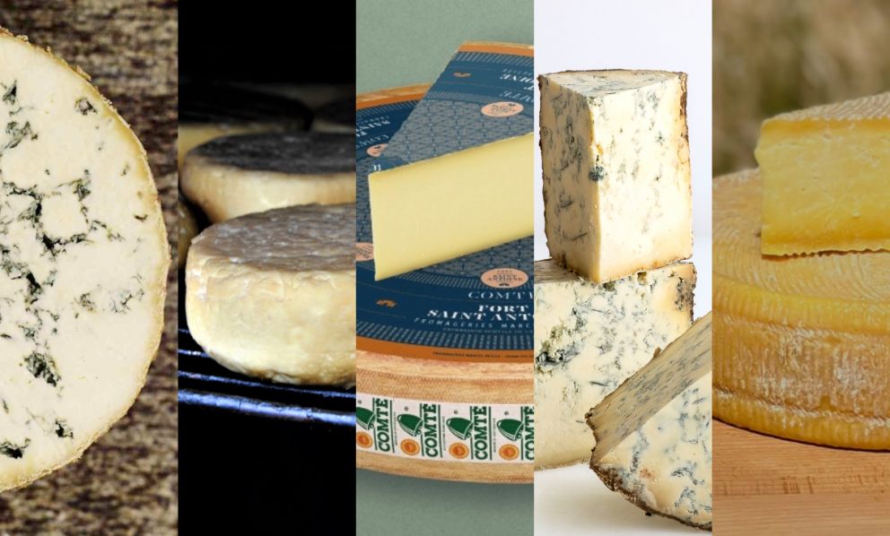 I cinque formaggi che dovete certamente assaggiare a Cheese 2025