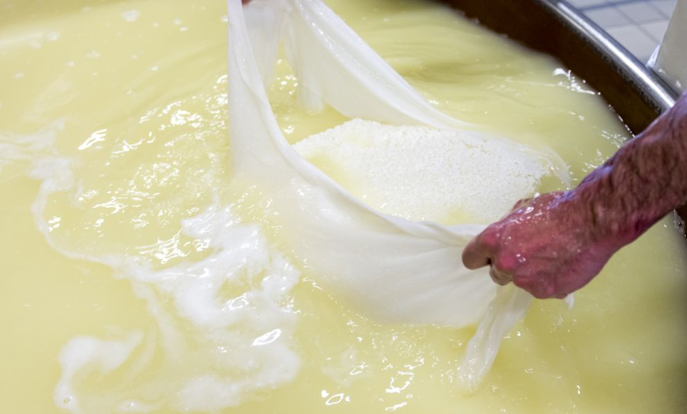 Valtellina Casera e Bitto: una grande storia di artigianalità