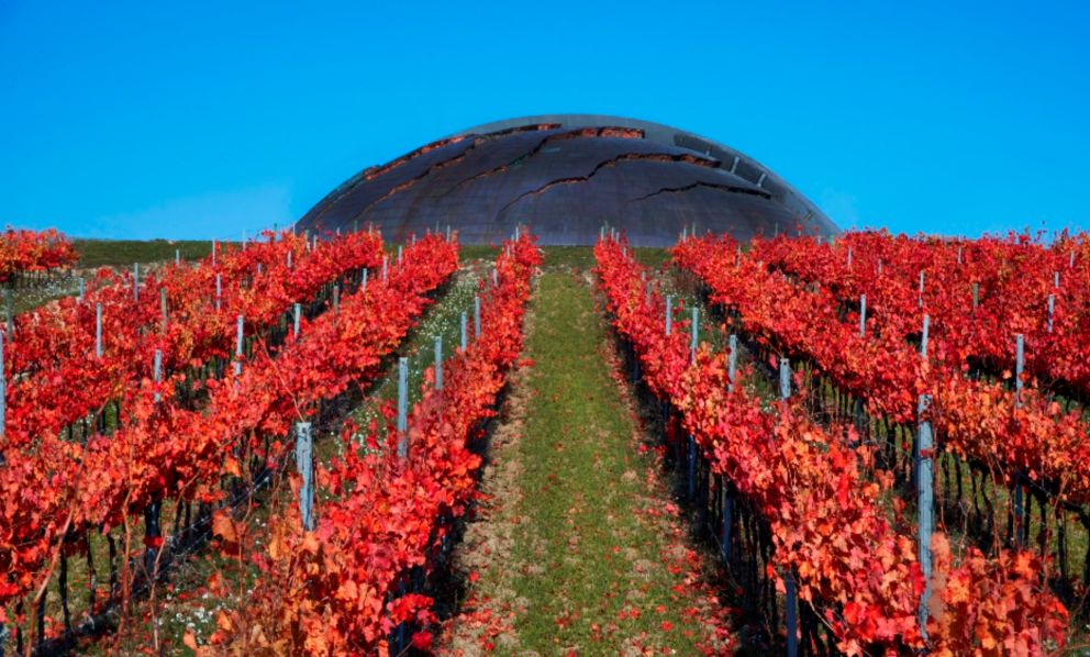 20 anni di Carapace, la cantina scultura di Tenute Lunelli in Umbria
