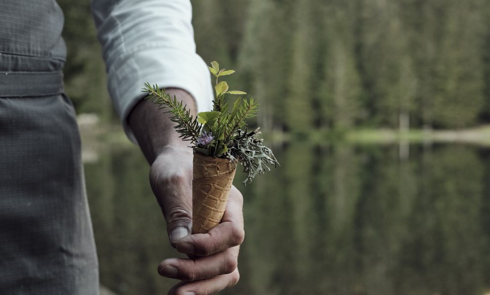 Gelati e famiglie botaniche: tutte le novità dell'estate di Ciacco