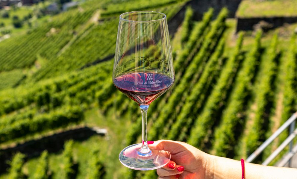 La Valtellina a Milano, tutti in Valtellina: fare marketing territoriale attraverso i vini (e una nuova guida)