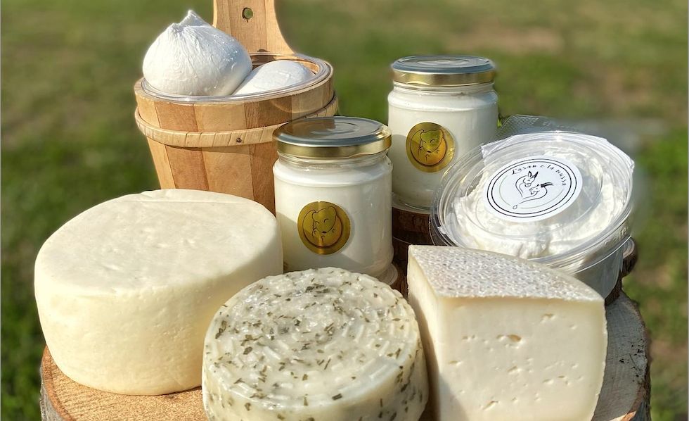 L’Asan e la Mussa: in Friuli Venezia Giulia, una bella storia di latte e formaggio