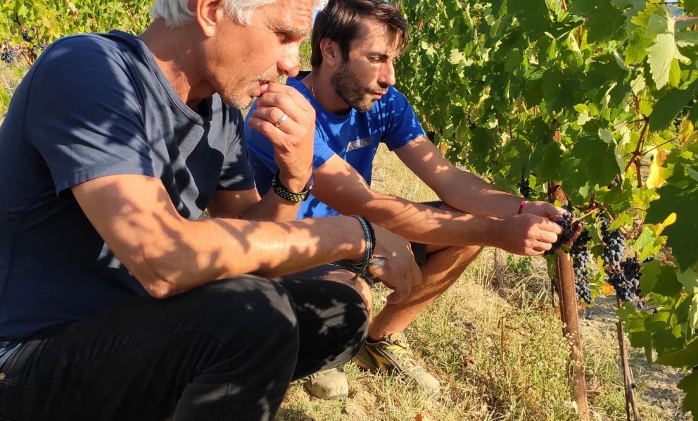 Che sorpresa i vini Frasca La Guaragna, una bella novità a Nizza Monferrato